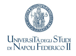UniNA - Federico II
